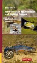 Taschenlexikon der Amphibien und Reptilien Europas