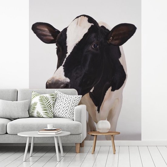 Studio foto van een Friese koe fotobehang vinyl breedte 185 cm x hoogte 230  cm - Foto... | bol.com