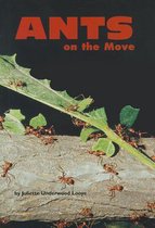 Ants on the Move