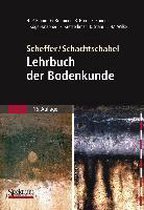 Scheffer/Schachtschabel