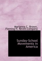 Sunday-School Movements in America