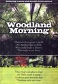Woodland Morning