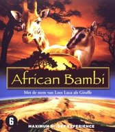 African Bambi