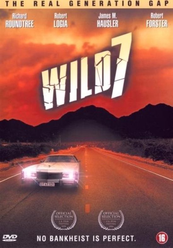 Cover van de film 'Wild Seven'