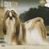 Shih Tzu 2014 Wall Calendar