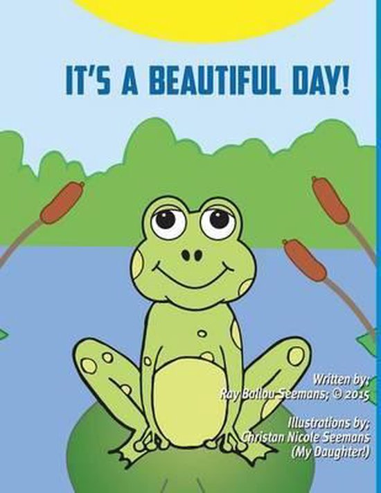 It's a Beautiful Day - cover