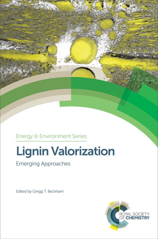 Energy and Environment Series 19 - Lignin Valorization - cover