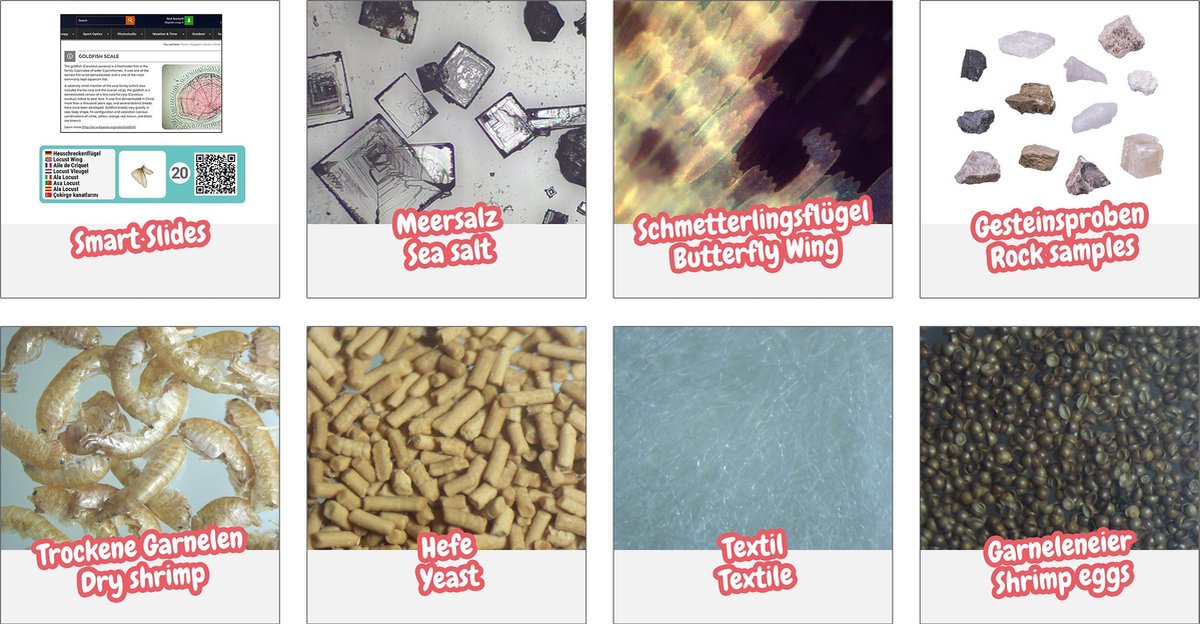 Bresser Junior- Experimenteerset voor Microscopen - Starterskit — afbeelding 3
