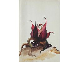 Groei en evenwicht 1e dr