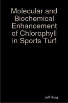 Molecular and Biochemical Enhancement of Chlorophyll in Sports Turf