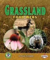 Grassland Food Webs