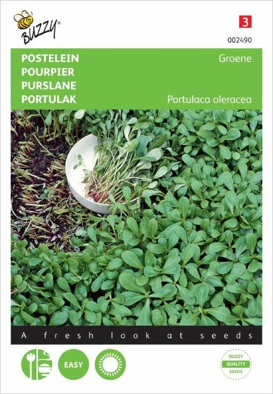 Buzzy zaden - Postelein groene - Portulaca oleracea