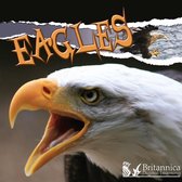 Raptors - Eagles