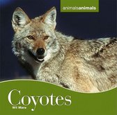 Coyotes