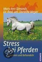 Stress bei Pferden