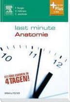 Last Minute Anatomie