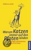 Warum Katzen immer auf den Pfoten landen