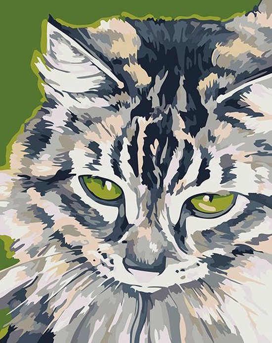 Cyper Kat Artventura Schilderen op Nummer Cyper Kat 16,5x13 cm | bol.com