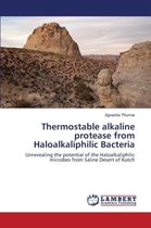 Thermostable alkaline protease from Haloalkaliphilic Bacteria