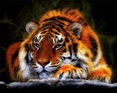 Diamond Painting Pakket – Tijger Liggend – 30 x 25 cm - Maak de Mooiste Schilderijen Helemaal Zelf