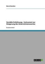 Variable Entlohnung - Instrument Zur Steigerung Des Unternehmenswertes