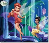 Disney Fairies - Tinkerbell canvas schilderij 30x22cm
