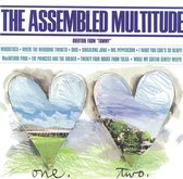 Assembled Multitude