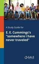 A Study Guide for E. E. Cummings's Somewhere I Have Never Traveled