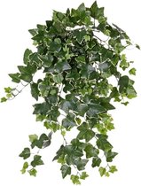 Groene/witte Hedera Helix/klimop kunstplant 65 cm voor buiten -  UV kunstplanten/nepplanten - Weerbestendig
