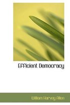 Efficient Democracy