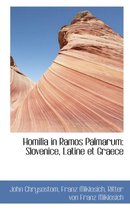 Homilia in Ramos Palmarum