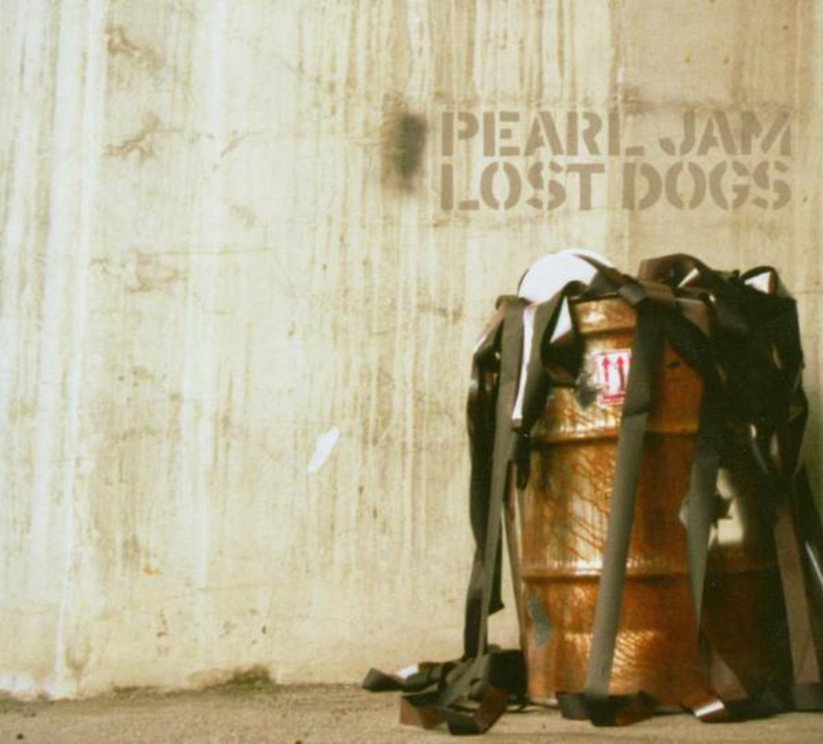 Pearl Jam - Lost Dogs