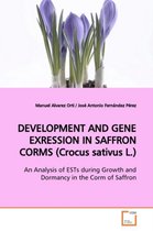 DEVELOPMENT AND GENE EXRESSION IN SAFFRON CORMS (Crocus sativus L.)
