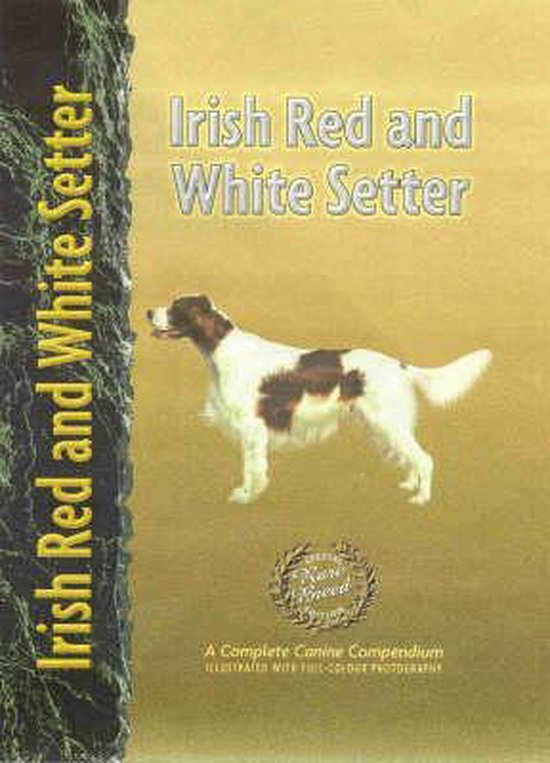 Irish Red and White Setter