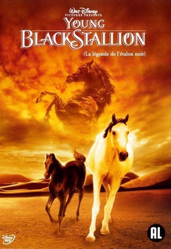 Cover van de film 'Young Black Stallion'