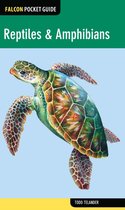 Falcon Pocket Guides - Reptiles & Amphibians