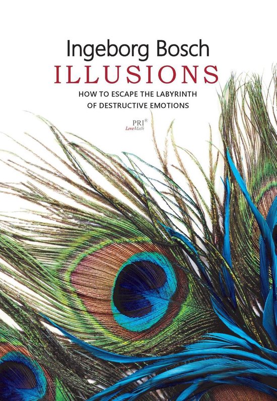 Illusions (ebook), Ingeborg Bosch | 9789080704947 | Boeken | bol.com