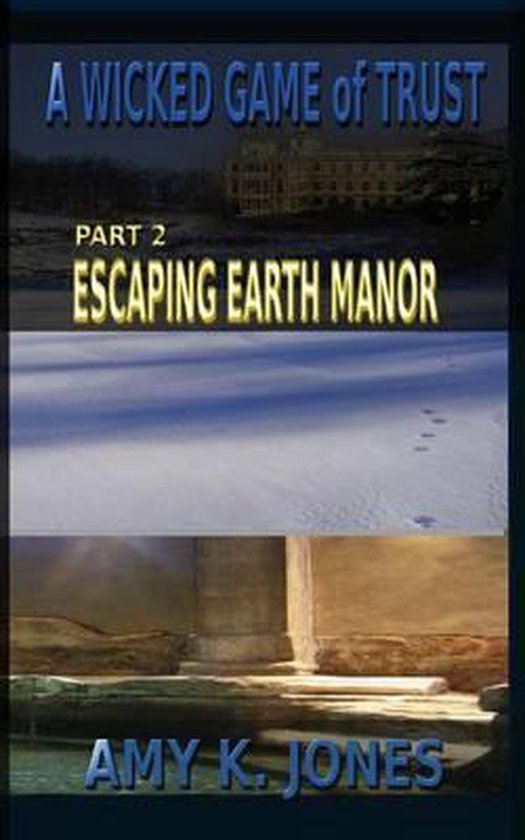 A Wicked Game of Trust-A WICKED GAME of TRUST - cover