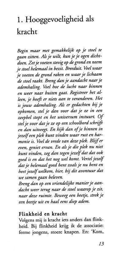 Tekstpagina over hooggevoeligheid en flinkheid, met paginanummer 13.