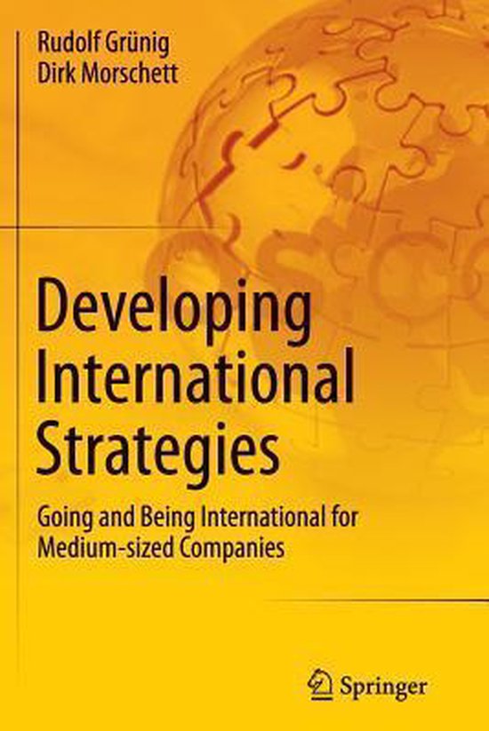 Developing International Strategies - cover
