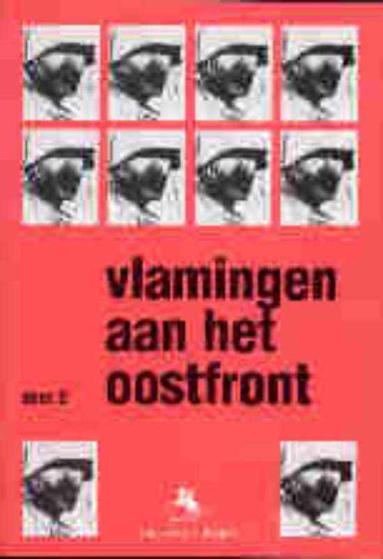 Cover van het boek 'Vlamingen aan het Oostfront / 2 Lamgemarck'