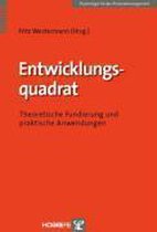 Entwicklungsquadrat