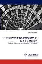 A Positivist Reexamination of Judicial Review