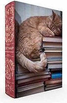 Cat Nap Book Box Puzzle