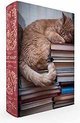 Afbeelding van het spelletje Cat Nap Book Box Puzzle