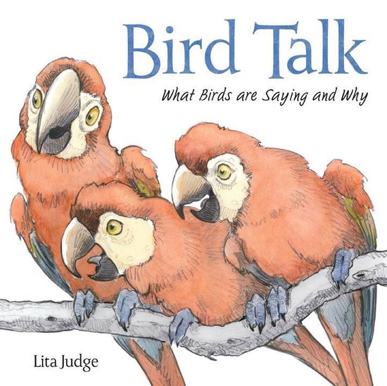 Bird Talk - cover