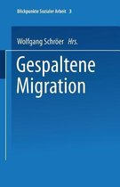Blickpunkte Sozialer Arbeit- Gespaltene Migration