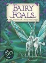 Fairy Foals
