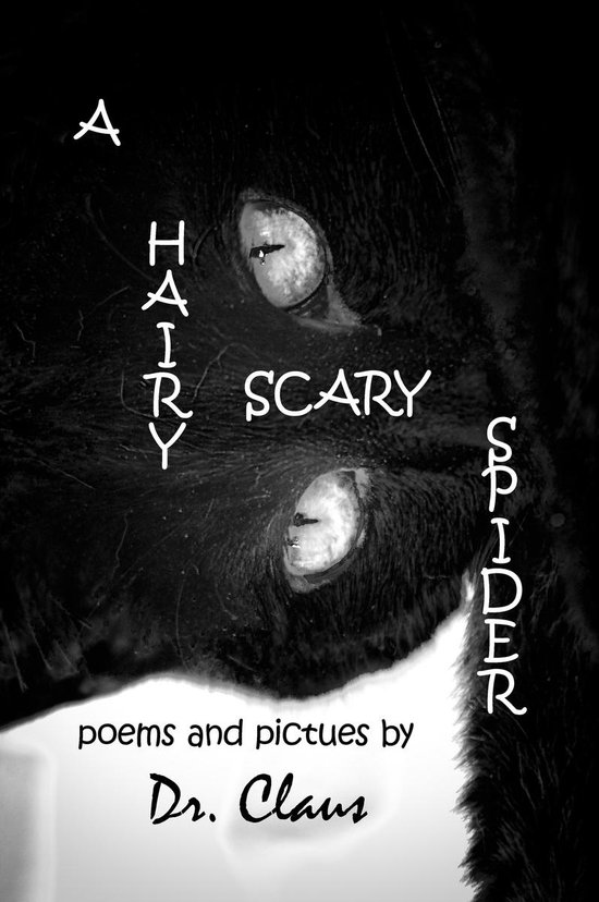 A Hairy Scary Spider - cover