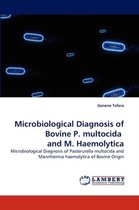 Microbiological Diagnosis of Bovine P. Multocida and M. Haemolytica